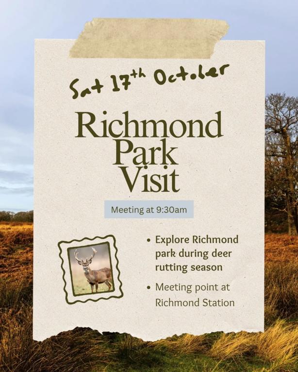 Richmond Park Visit
