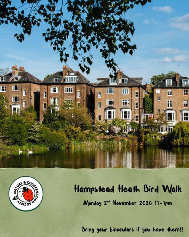Hampstead Heath Bird Walk